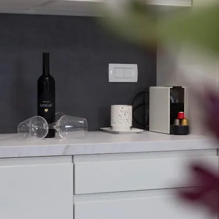 Apartman Alexandre *