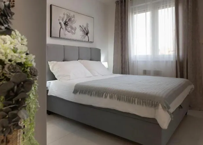 Alexandre * ザダル